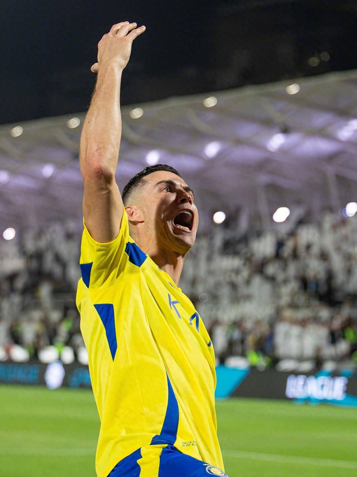 23人名单 23人名单