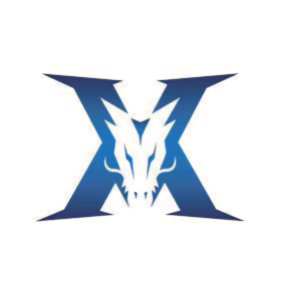 肋区横传 肋区横传